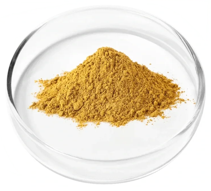 Golden-yellow berberine powder in a glass dish